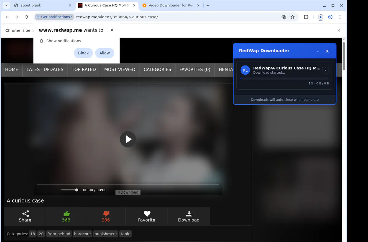 Redwap Video Downloader browser extension screenshot 2