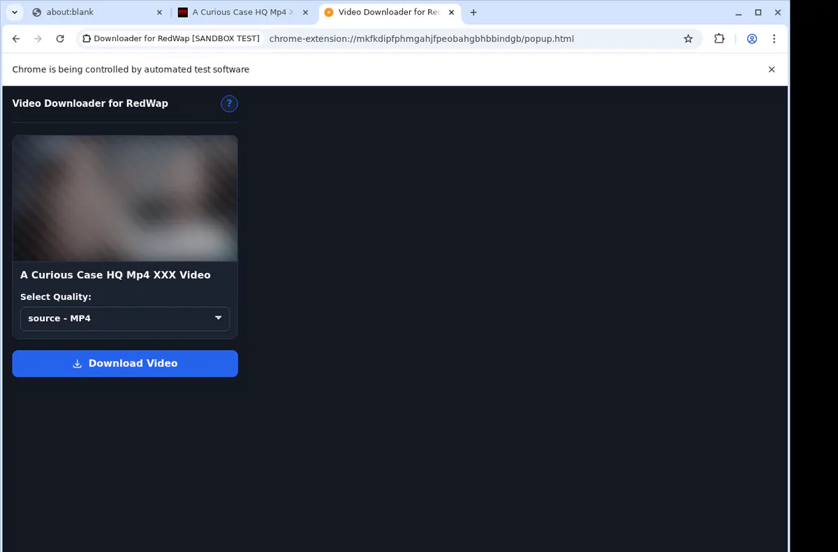 Redwap Video Downloader browser extension screenshot 3